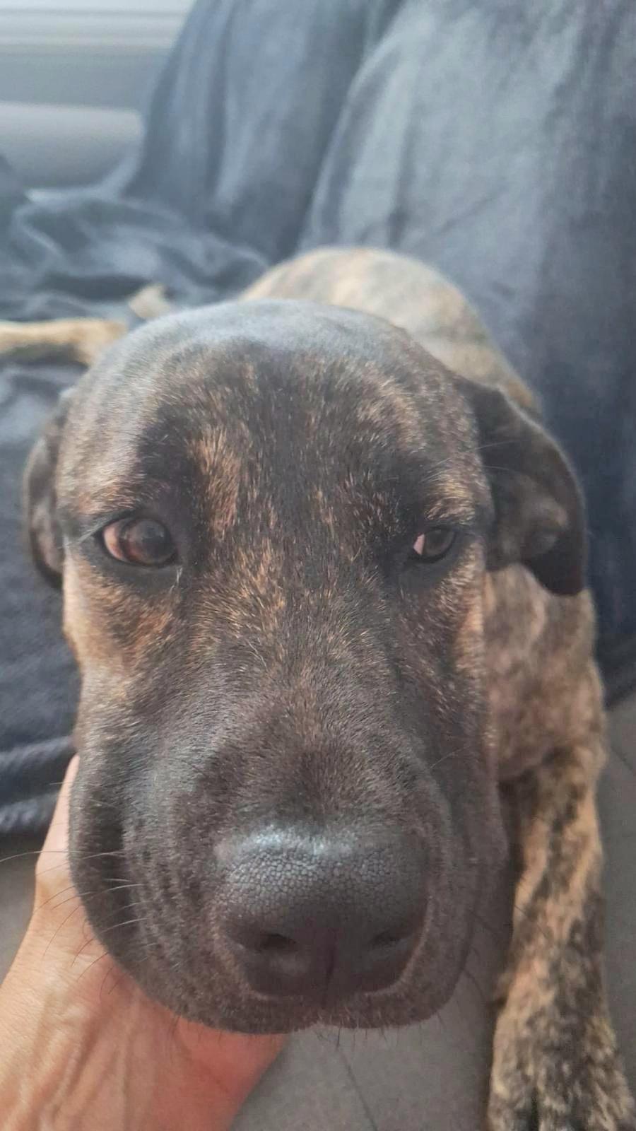 Princess Sammy "a Very thumbnail 6