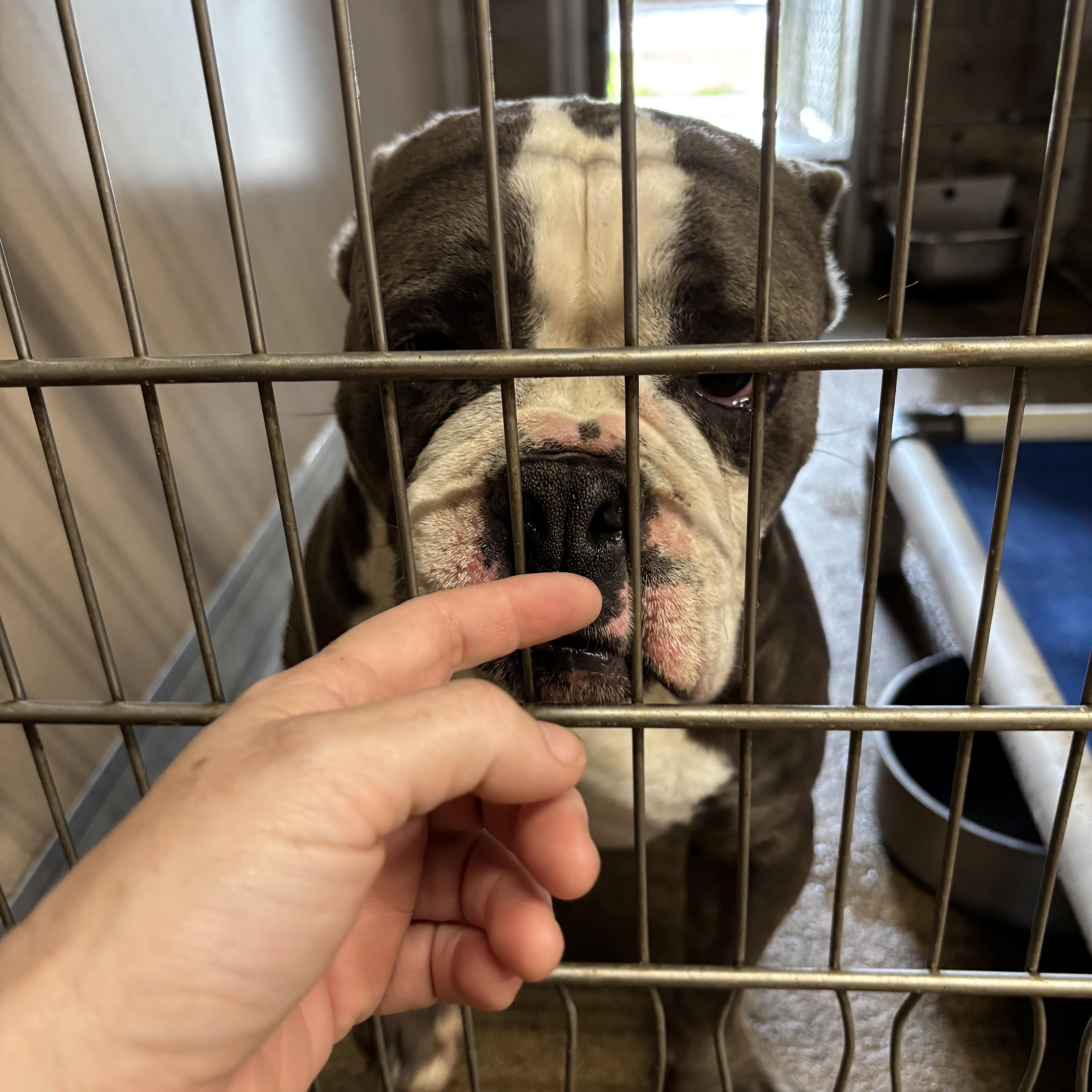 Bundt — thumbnail 2