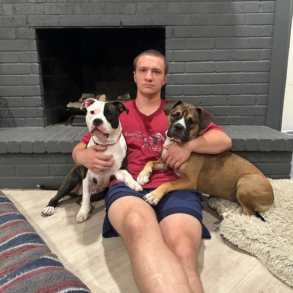 Ginger, a Adoptable mixed breed in Dallas, TX image 5/6