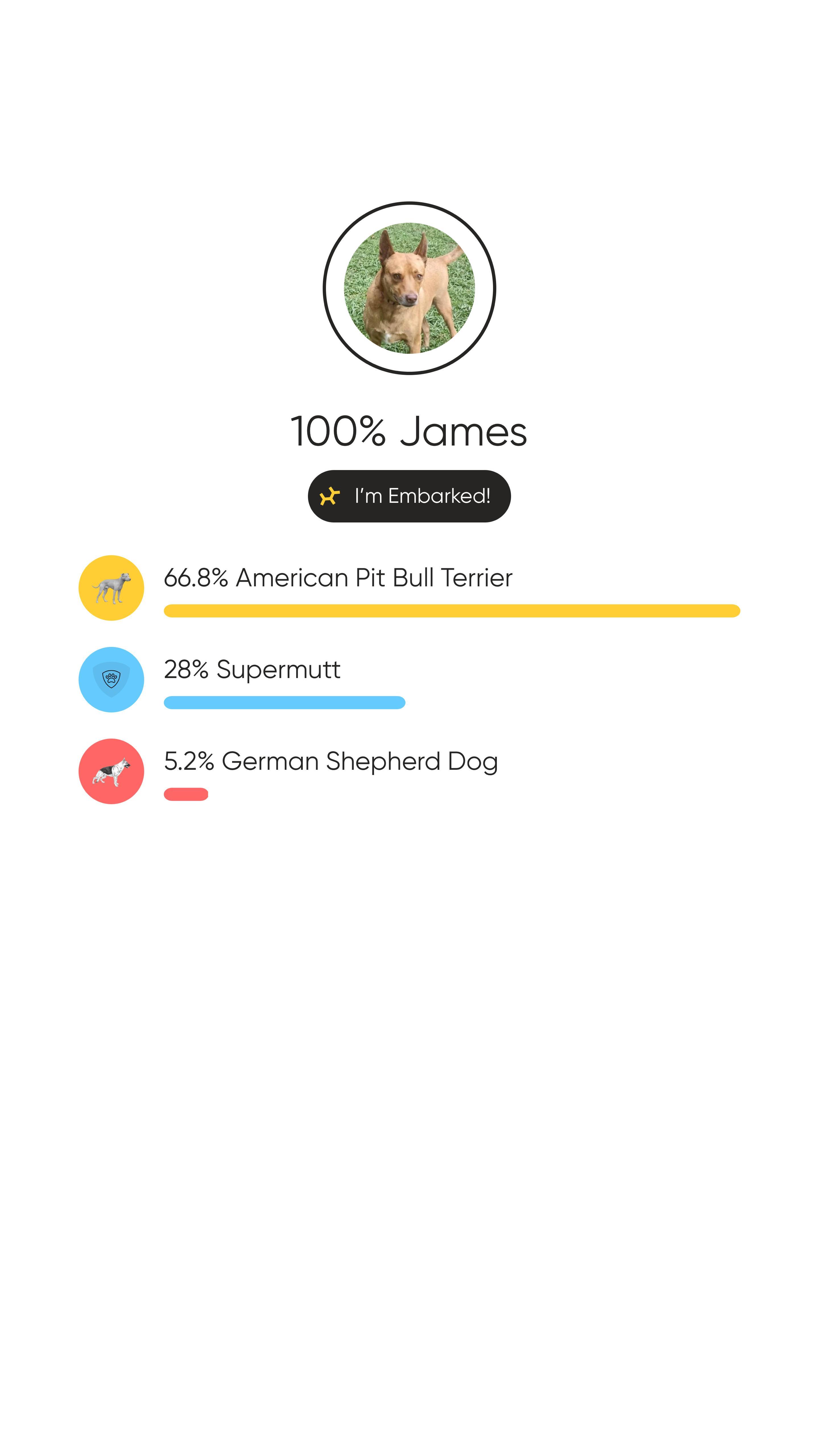 James, a Adoptable mixed breed in Sherwood, OR image 2/6