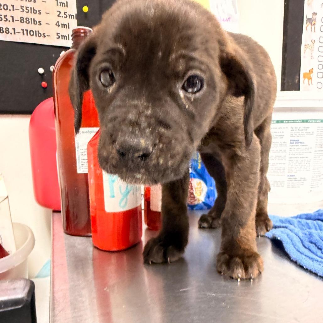 Spike — thumbnail 2