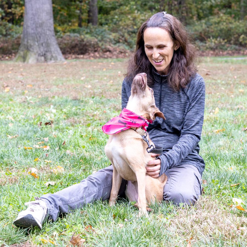 Meadow (Female), a Adoptable mixed breed in West Grove, PA image 4/6