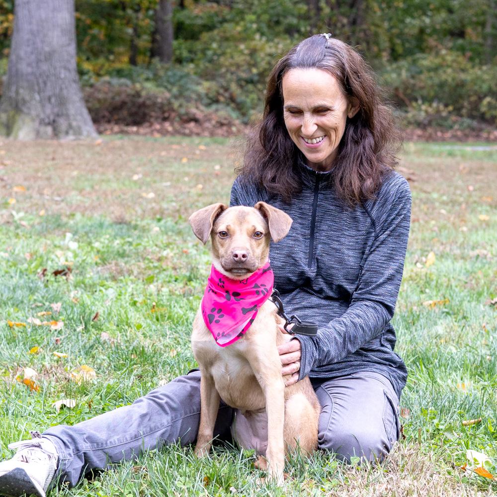 Meadow (Female), a Adoptable mixed breed in West Grove, PA image 5/6