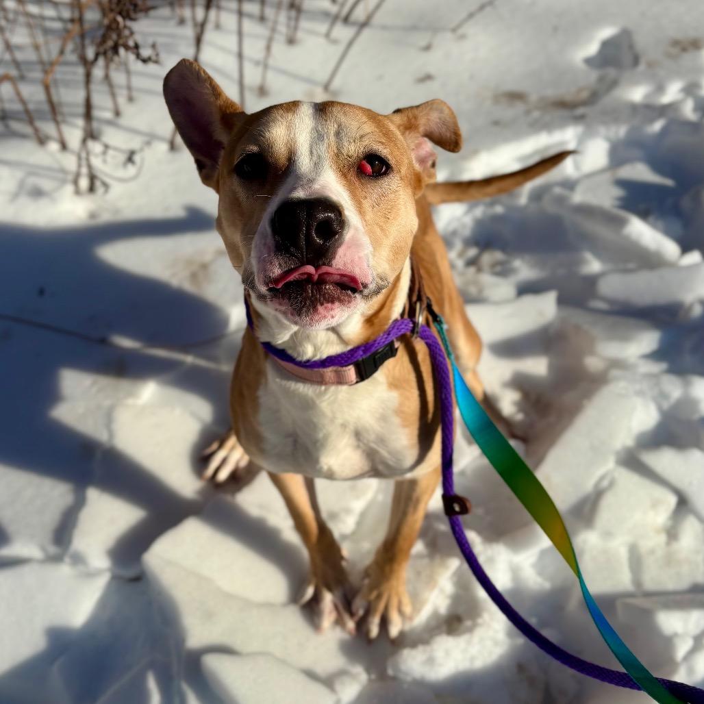 Ethel — thumbnail 5