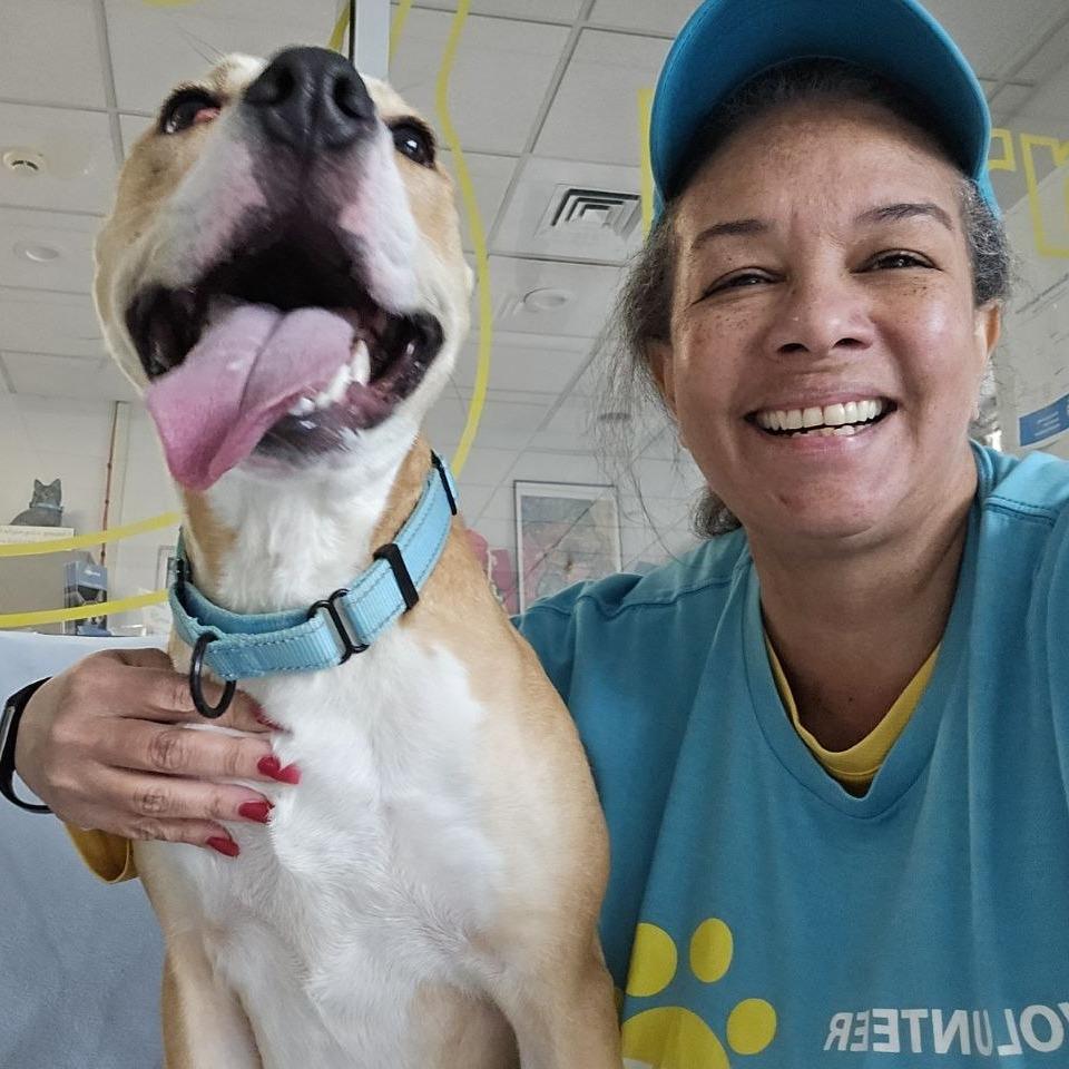 Enlarge Ethel, a Adoptable Mixed Breed in Wantagh, NY image 4/5