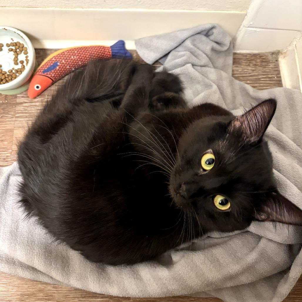 Hades — thumbnail 4