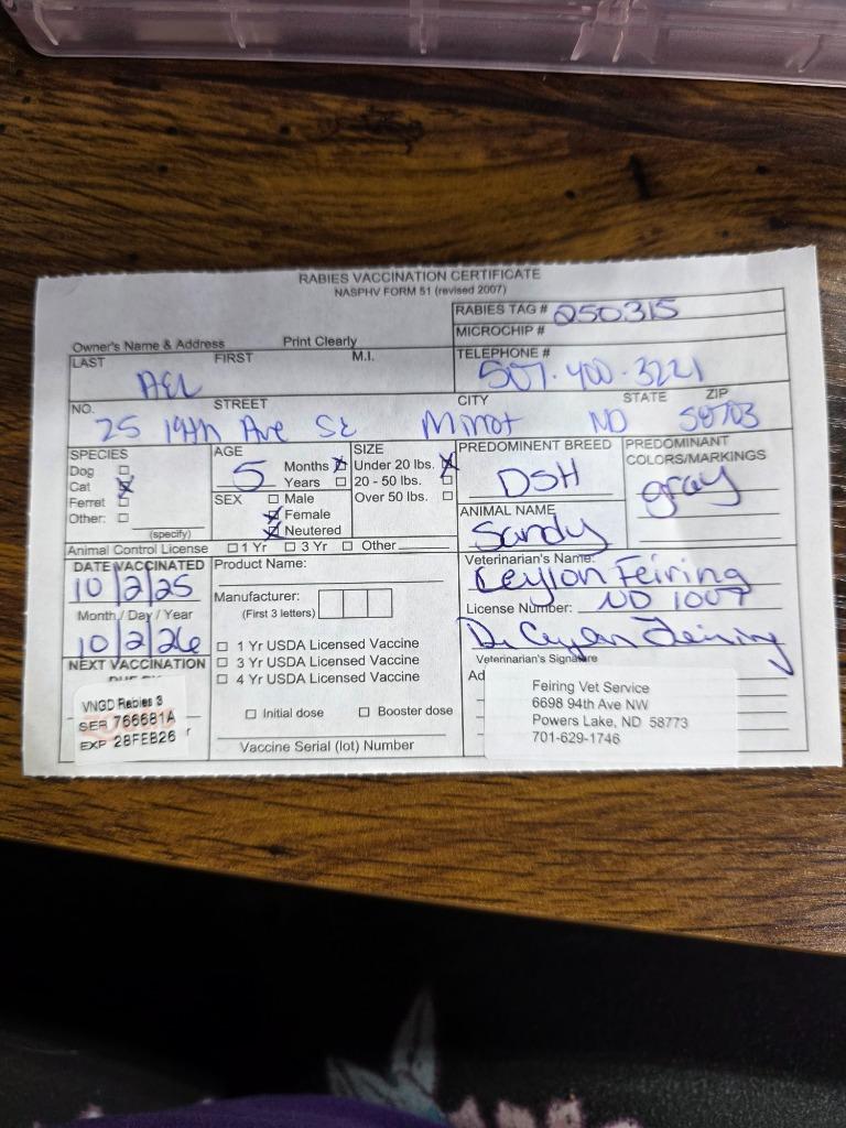 Sandy, a Adoptable mixed breed in Minot, ND image 4/6