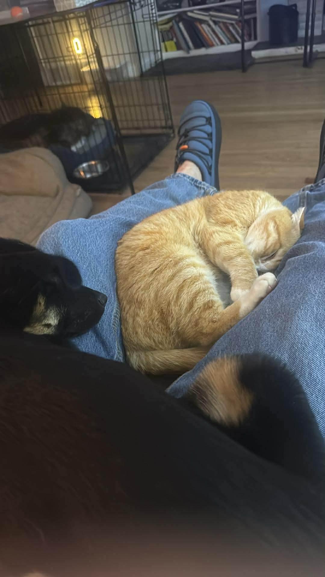 Batgirl — thumbnail 3