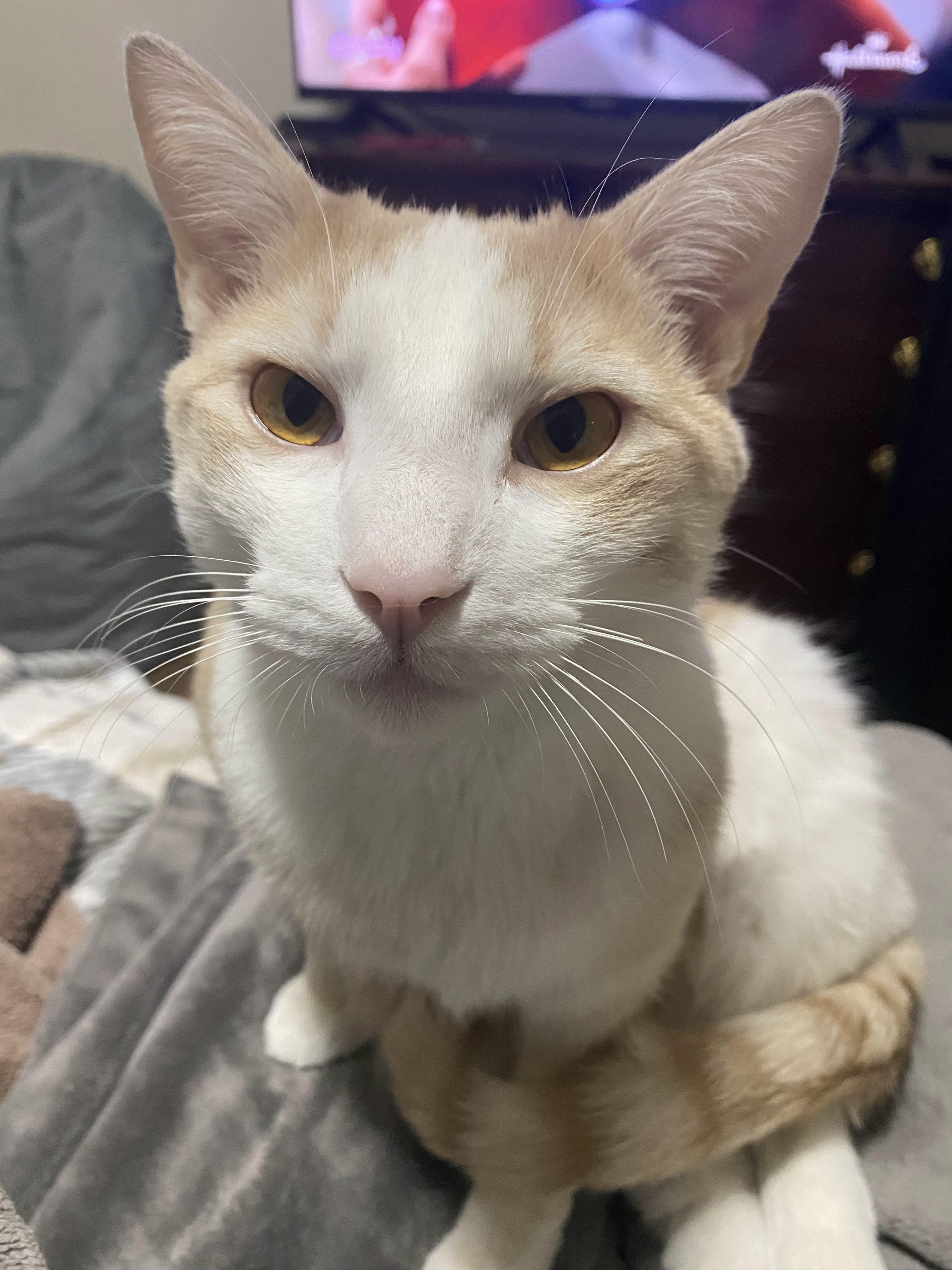 Cloud — thumbnail 2