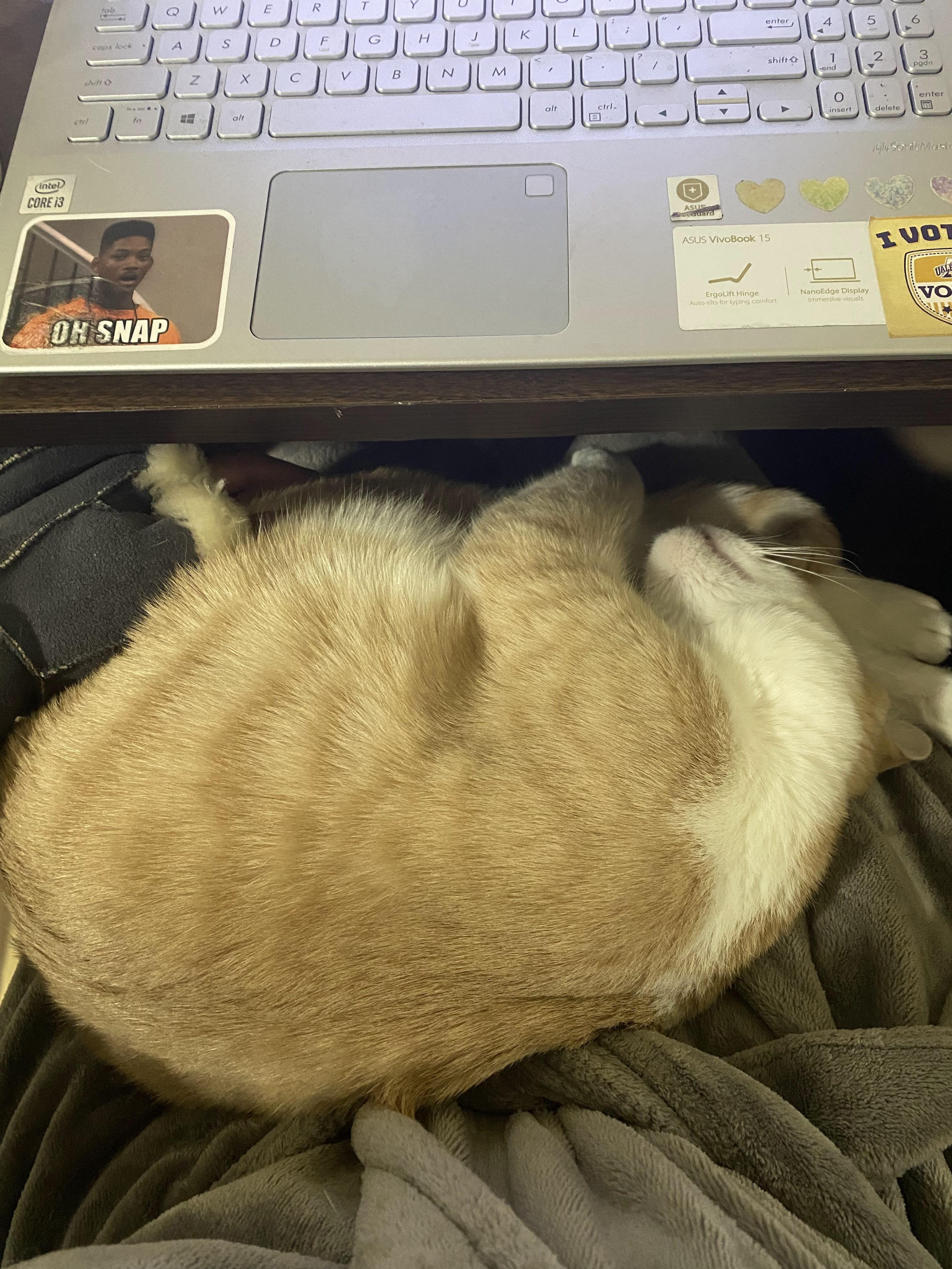 Cloud — thumbnail 3