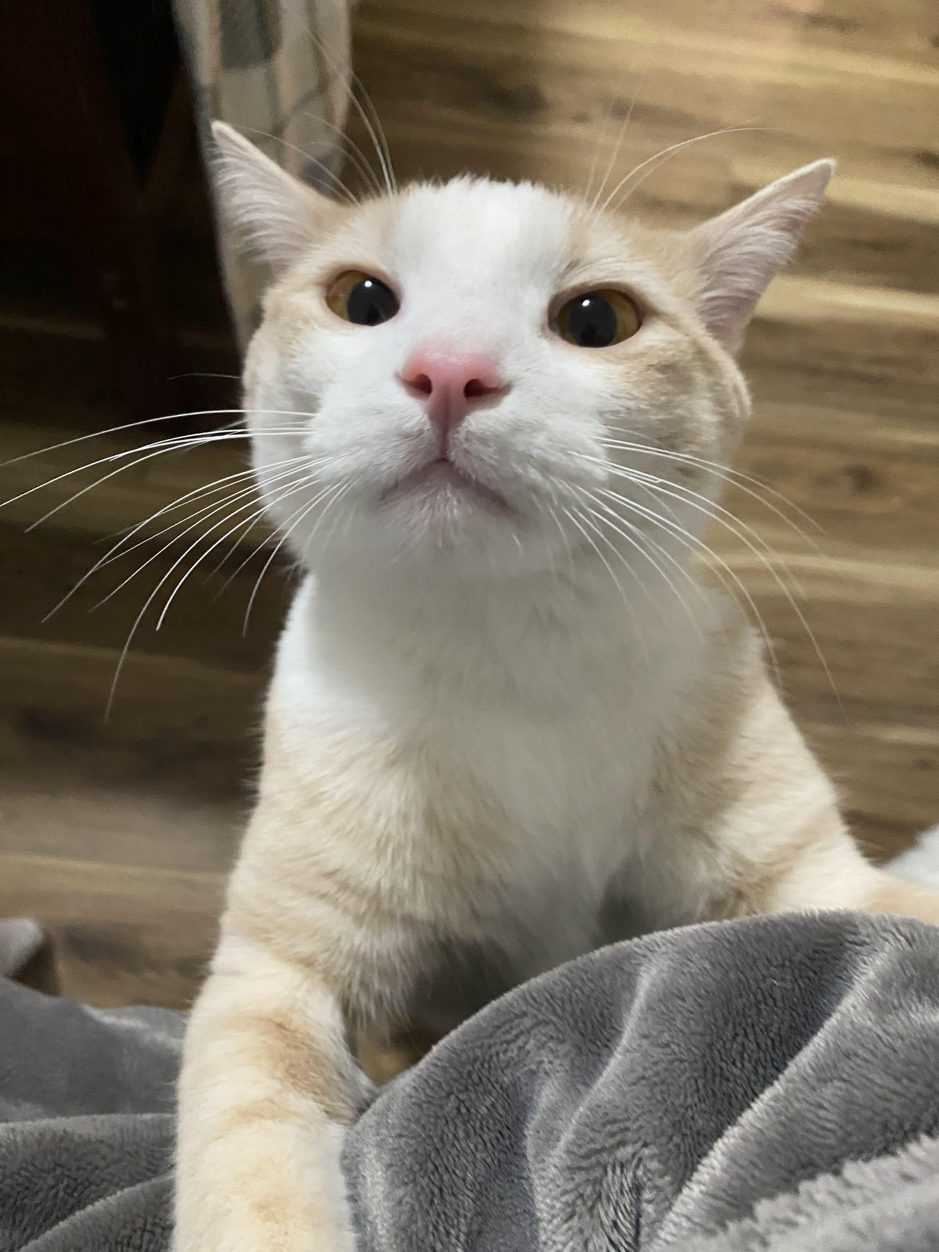 Cloud — thumbnail 4