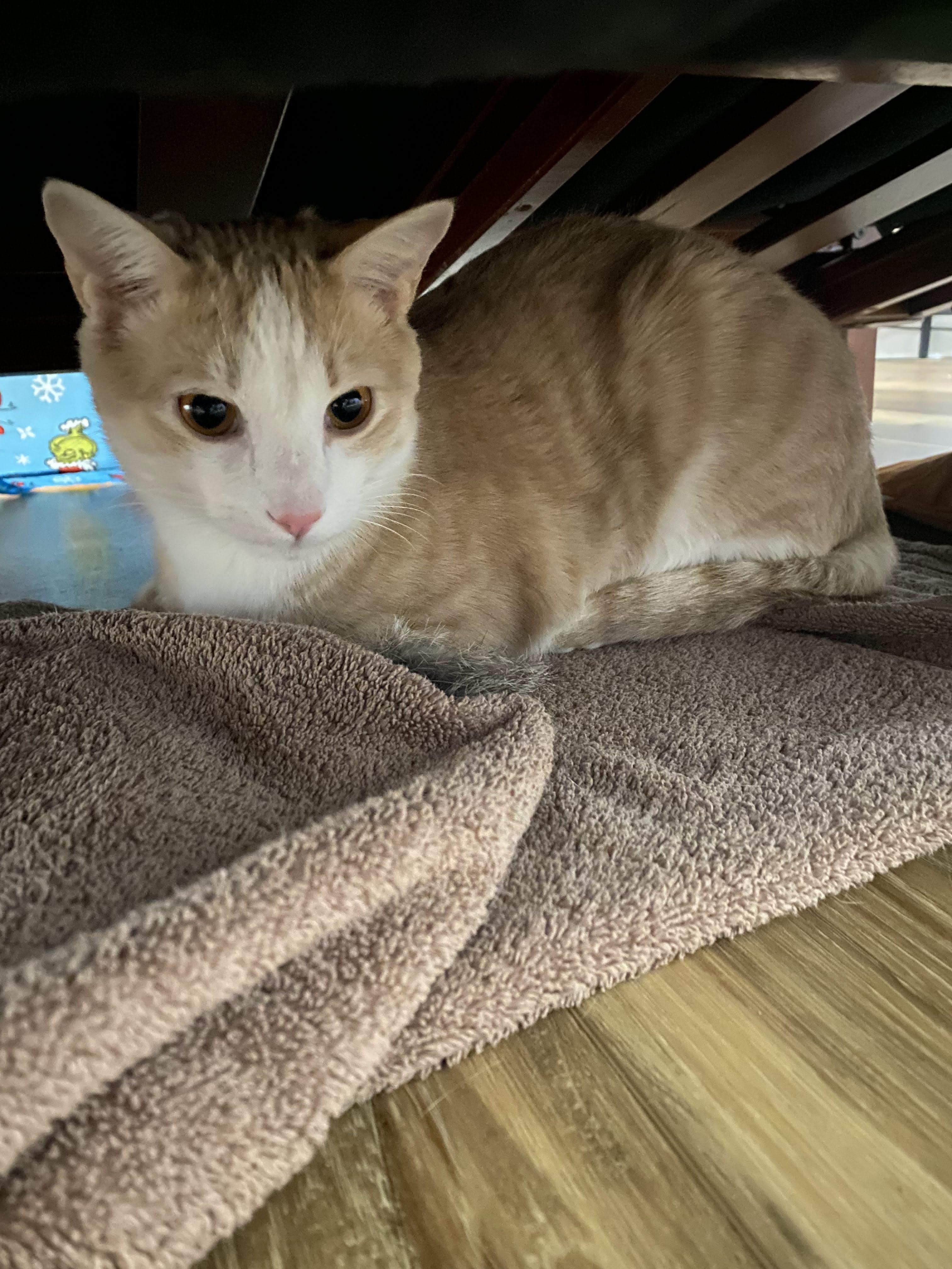 Cloud — thumbnail 5