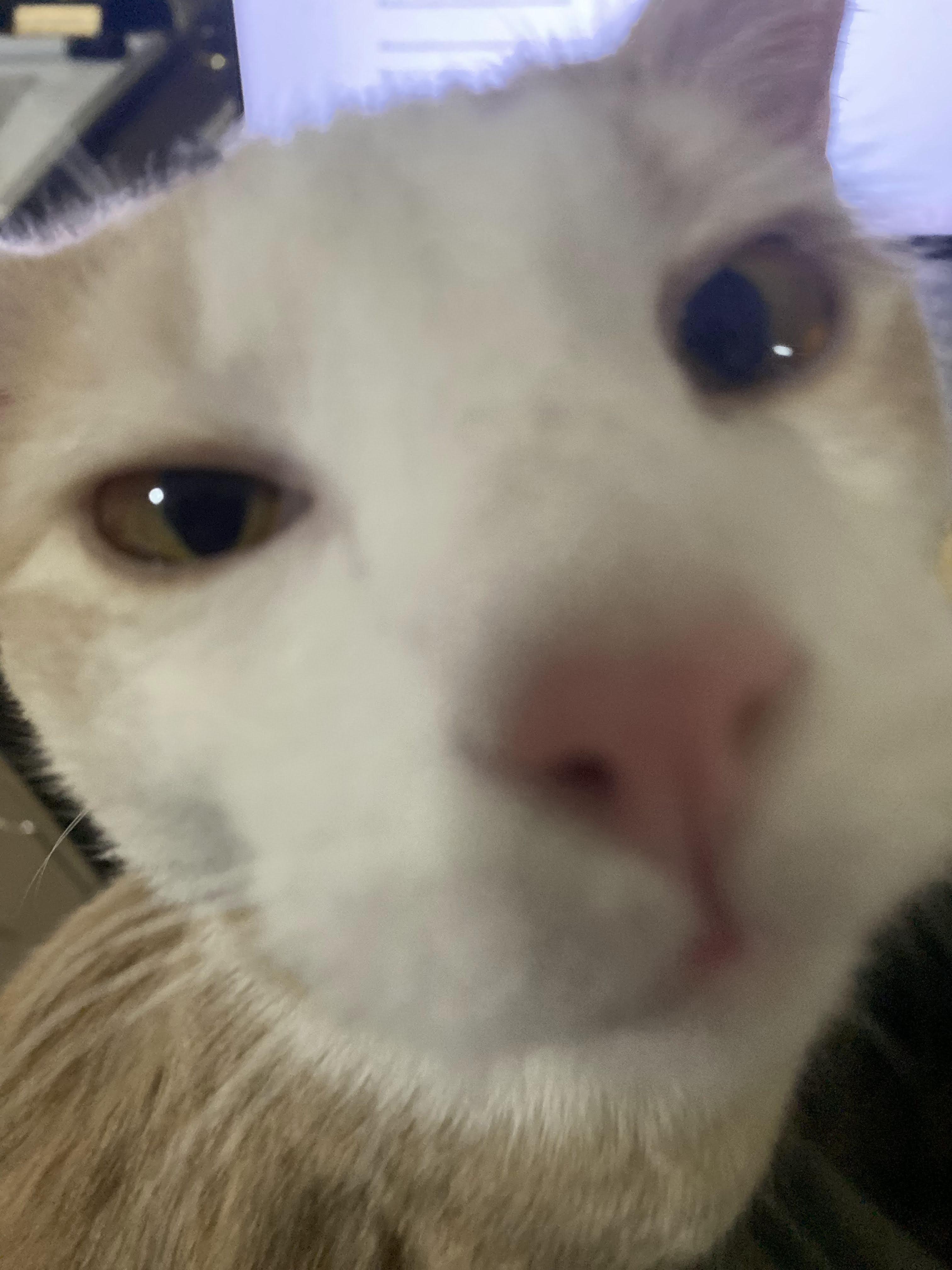 Cloud — thumbnail 6