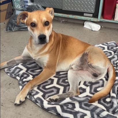 Sportsman thumbnail 3