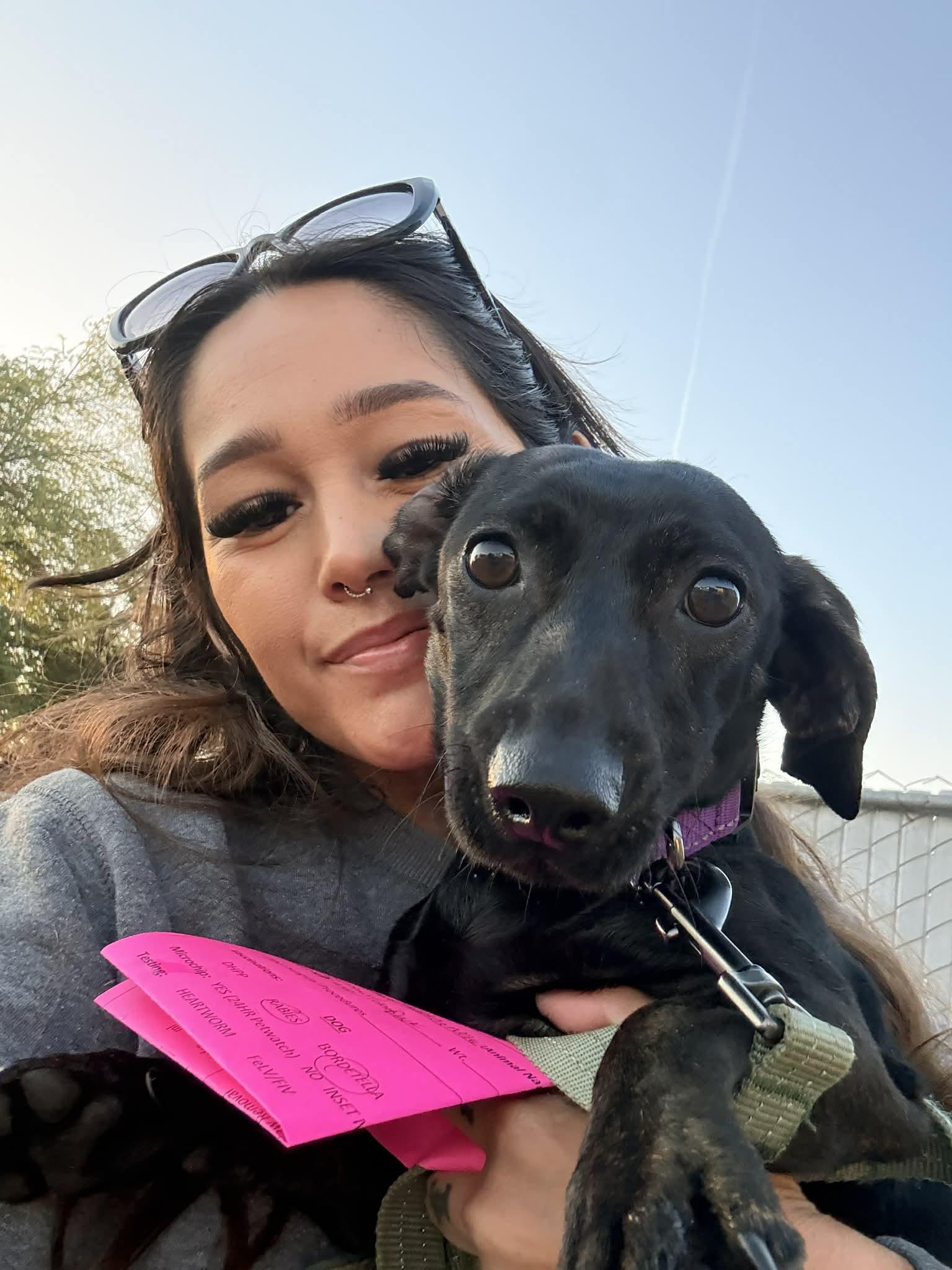 Enlarge Marina, a ADOPTABLE mixed breed in Beavercreek, OR image 3/6