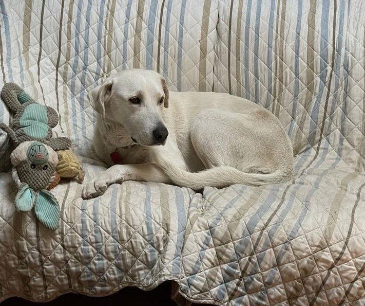 June Carter Cash thumbnail 2