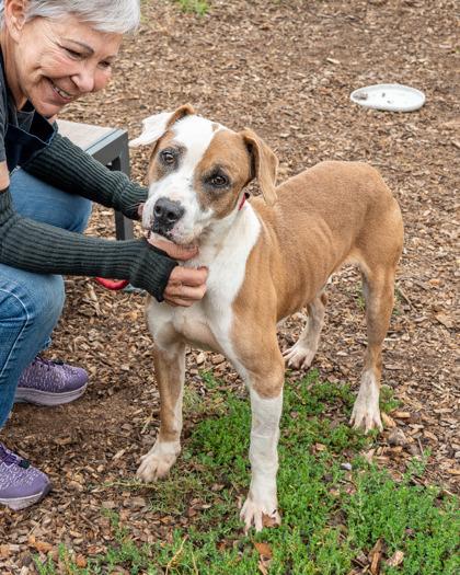 Huntsmith — thumbnail 2