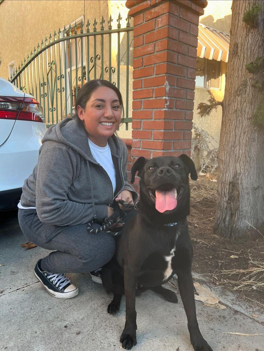 Mako, a Adoptable mixed breed in rowland heights, CA image 2/5