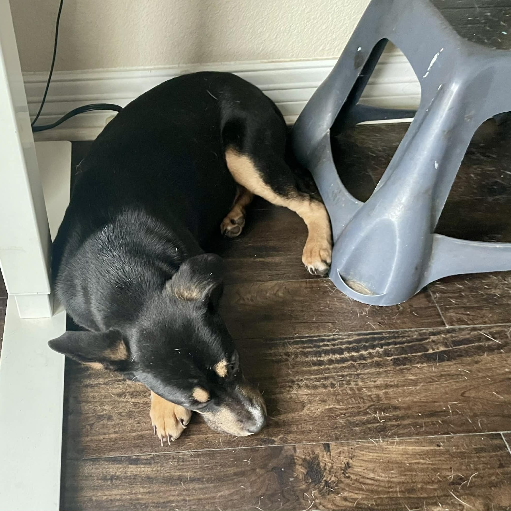 Athena — thumbnail 2