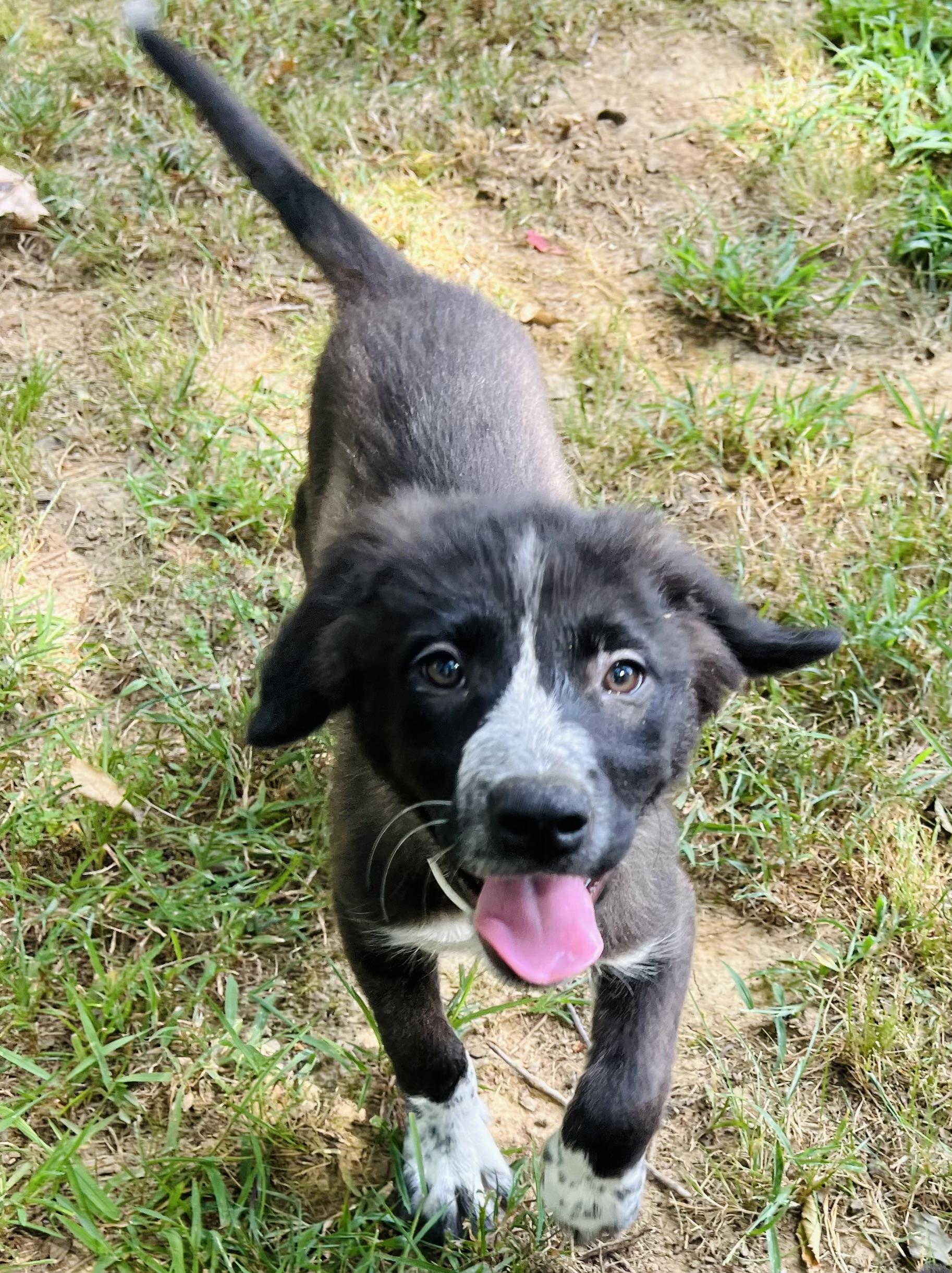 Lola Mae, Baby Female unknown