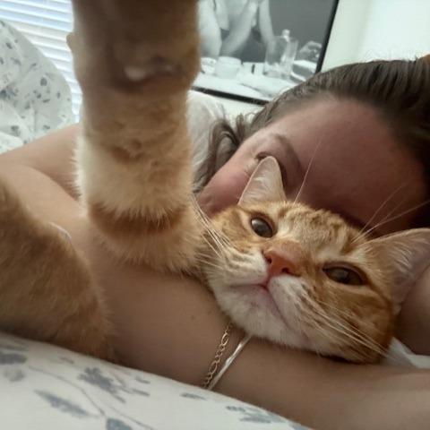 Annie — thumbnail 5