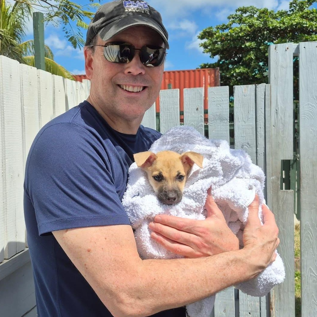 Enlarge Jane, a ADOPTABLE Mixed Breed in Thornhill, ON image 2/6