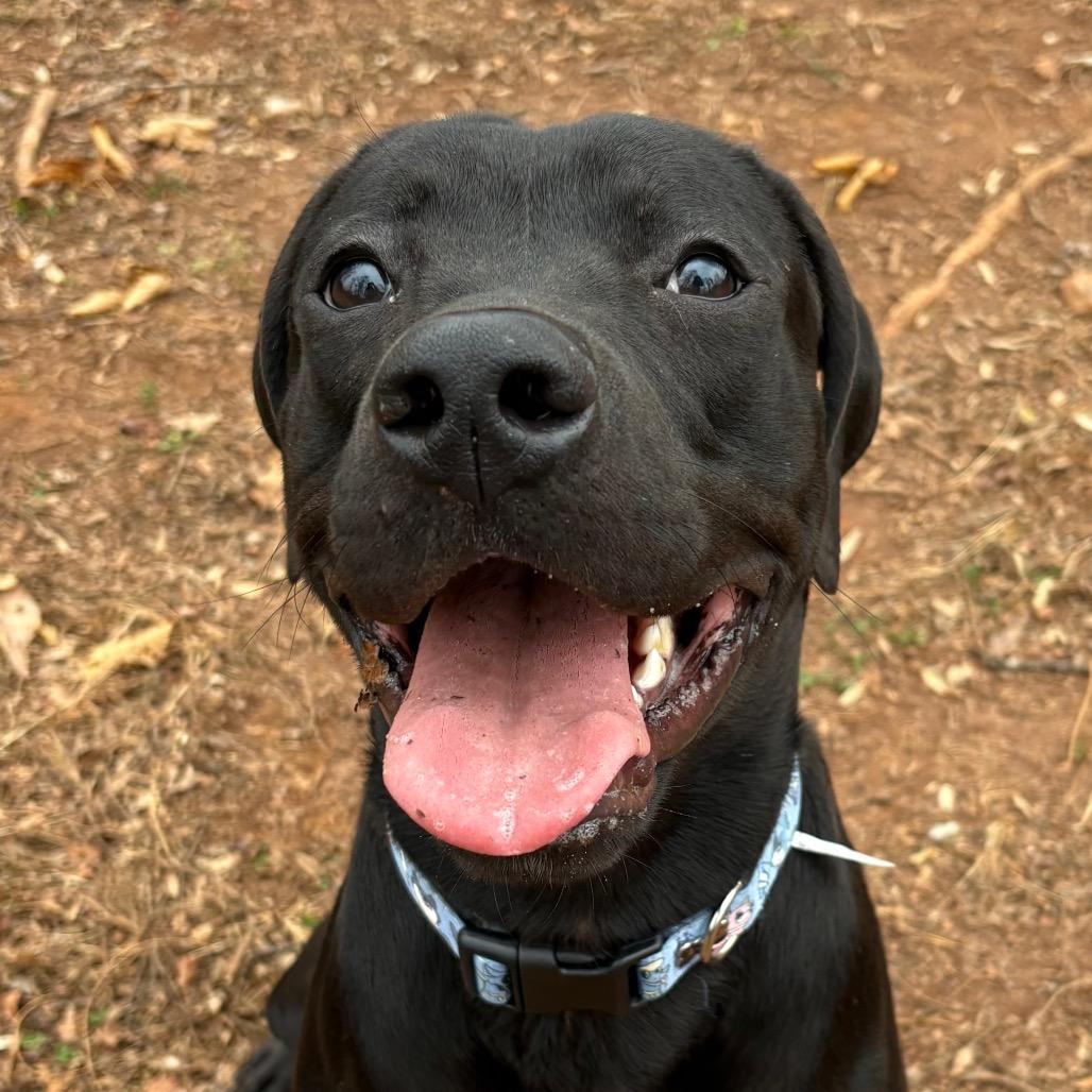 Midnight thumbnail 2