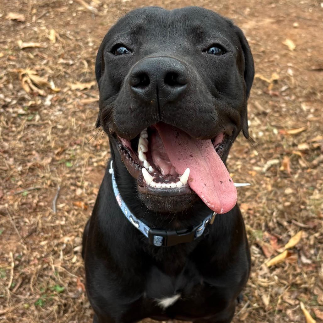 Midnight thumbnail 4