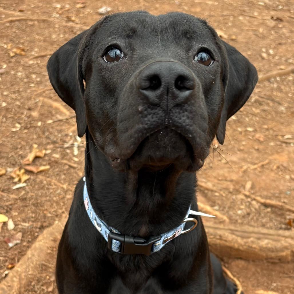 Midnight thumbnail 5