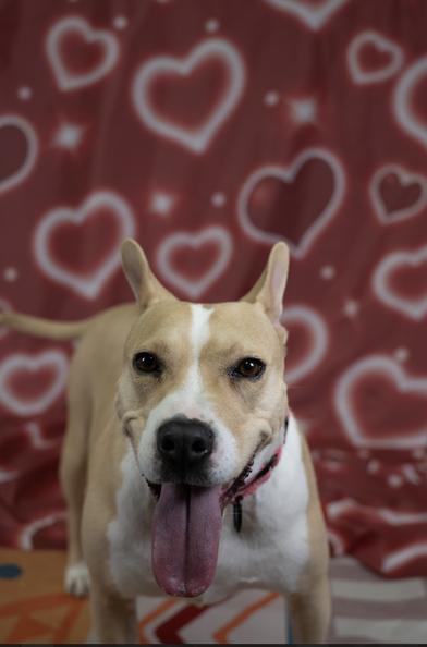 Maggie — thumbnail 6