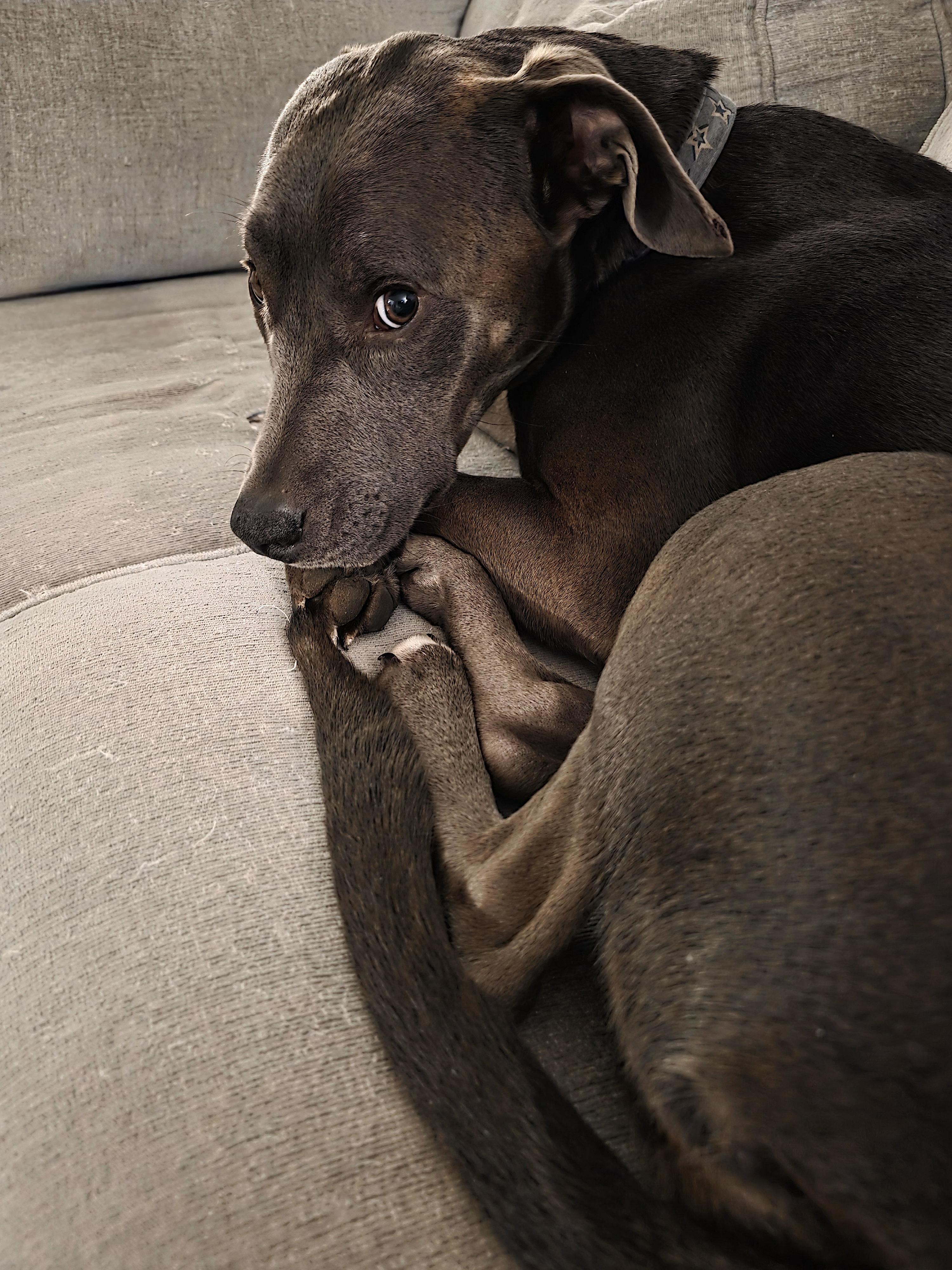 Jade — thumbnail 4