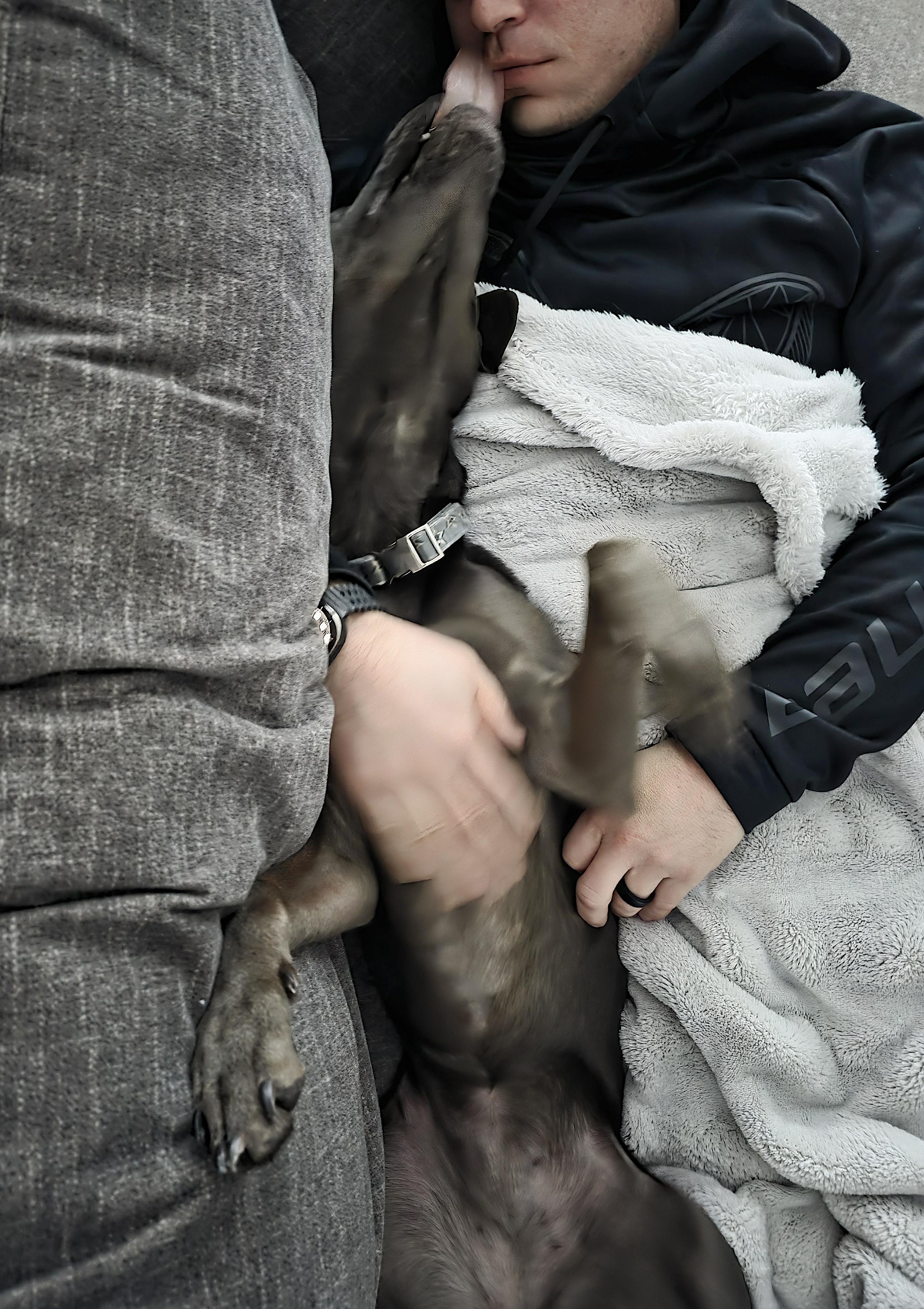 Jade — thumbnail 5