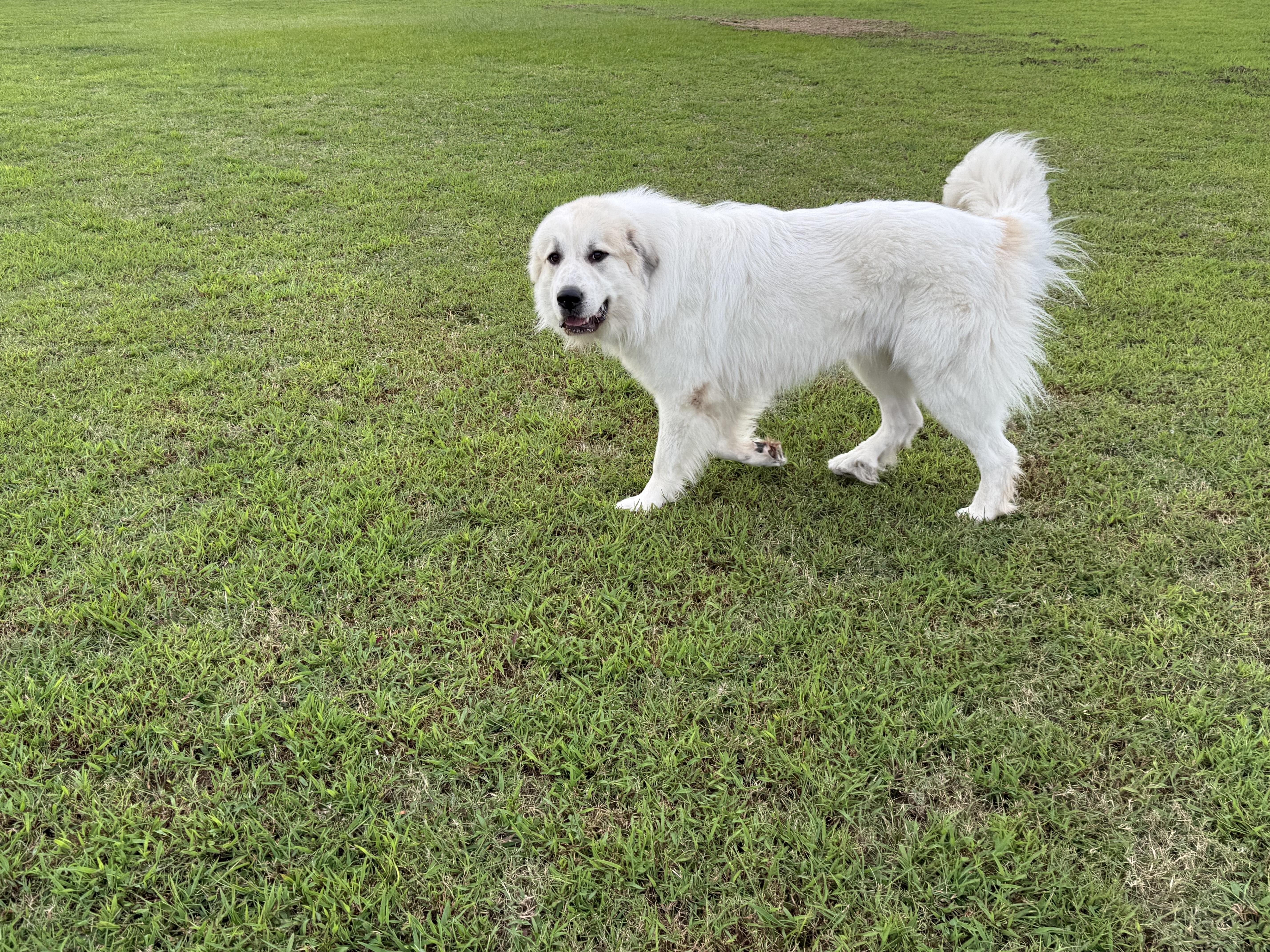 Courtesy Listing- Argus