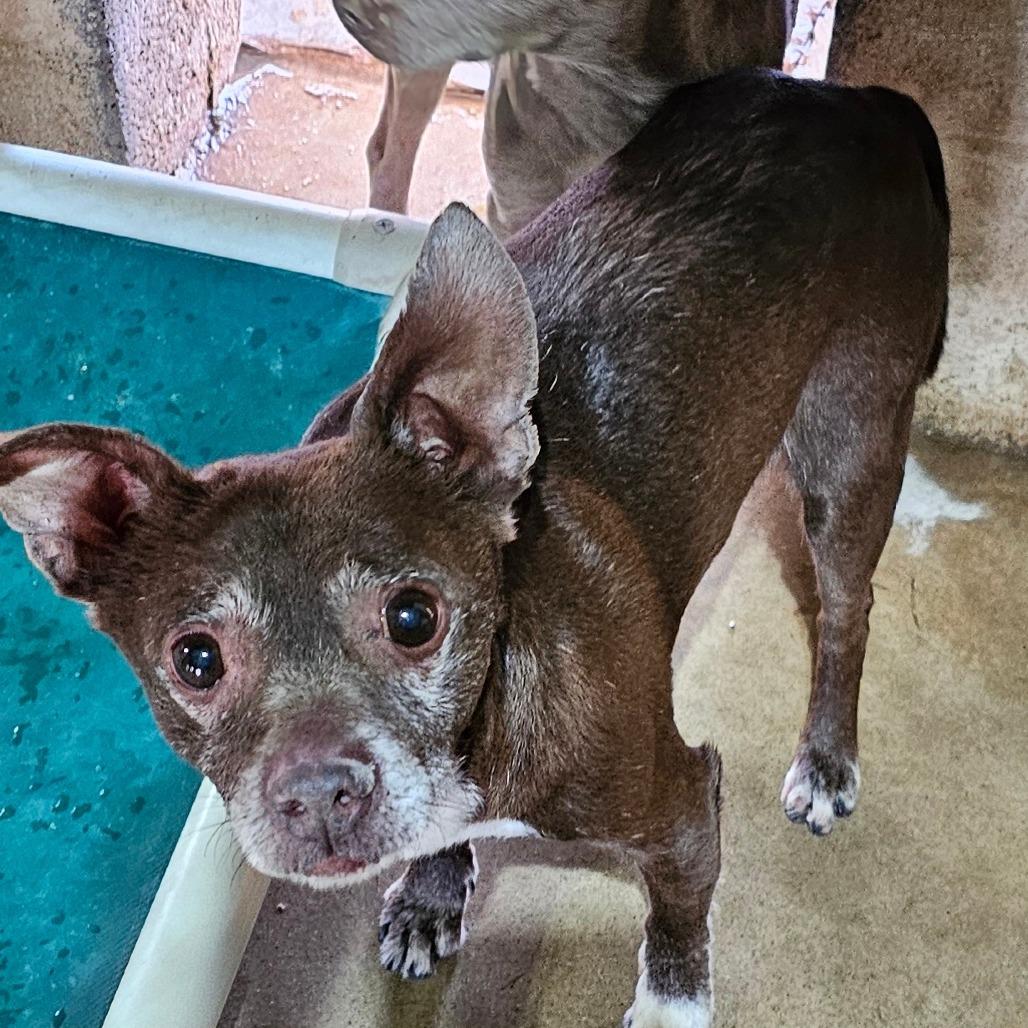 Butch — thumbnail 2