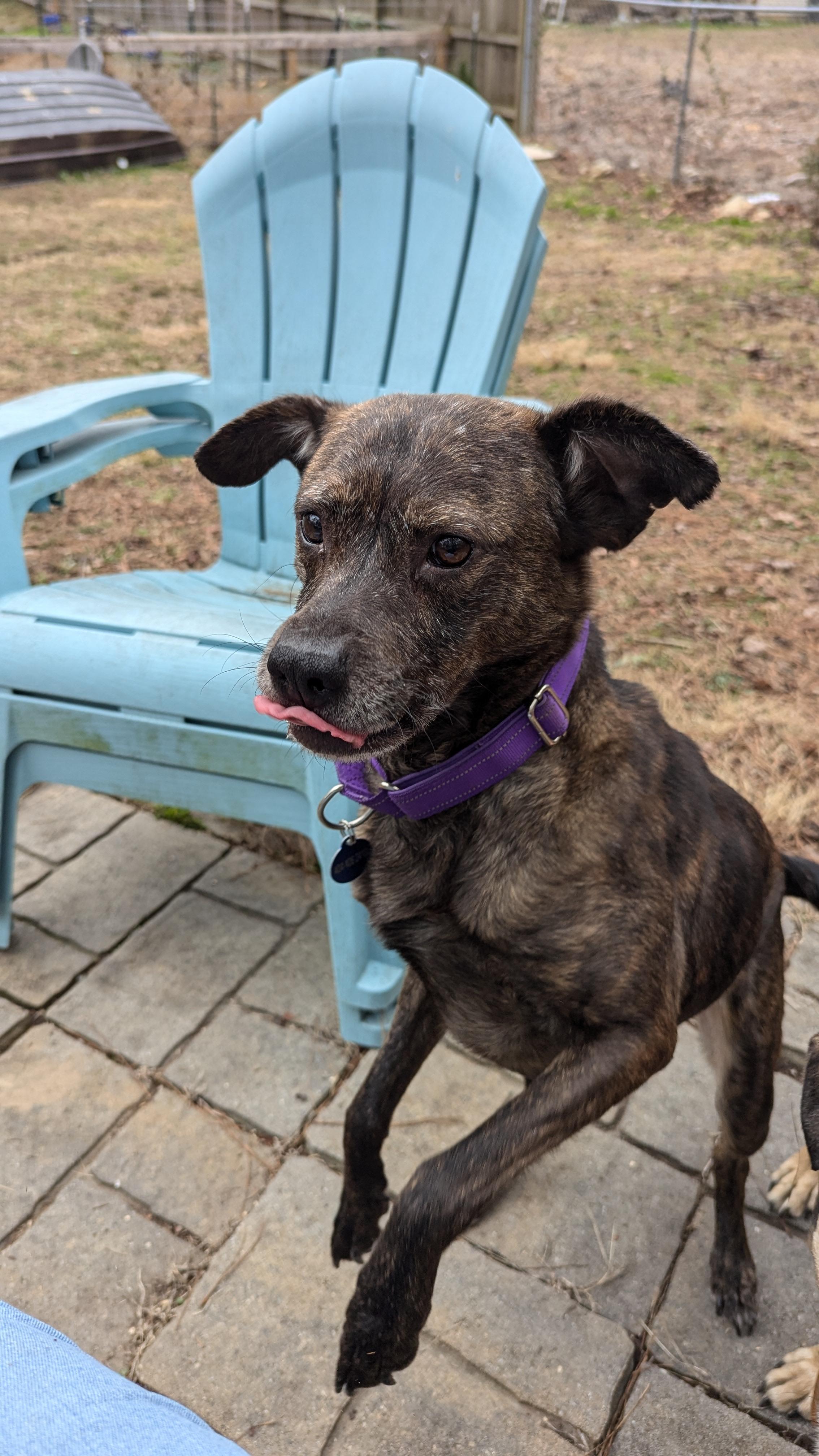 Zandra — thumbnail 4