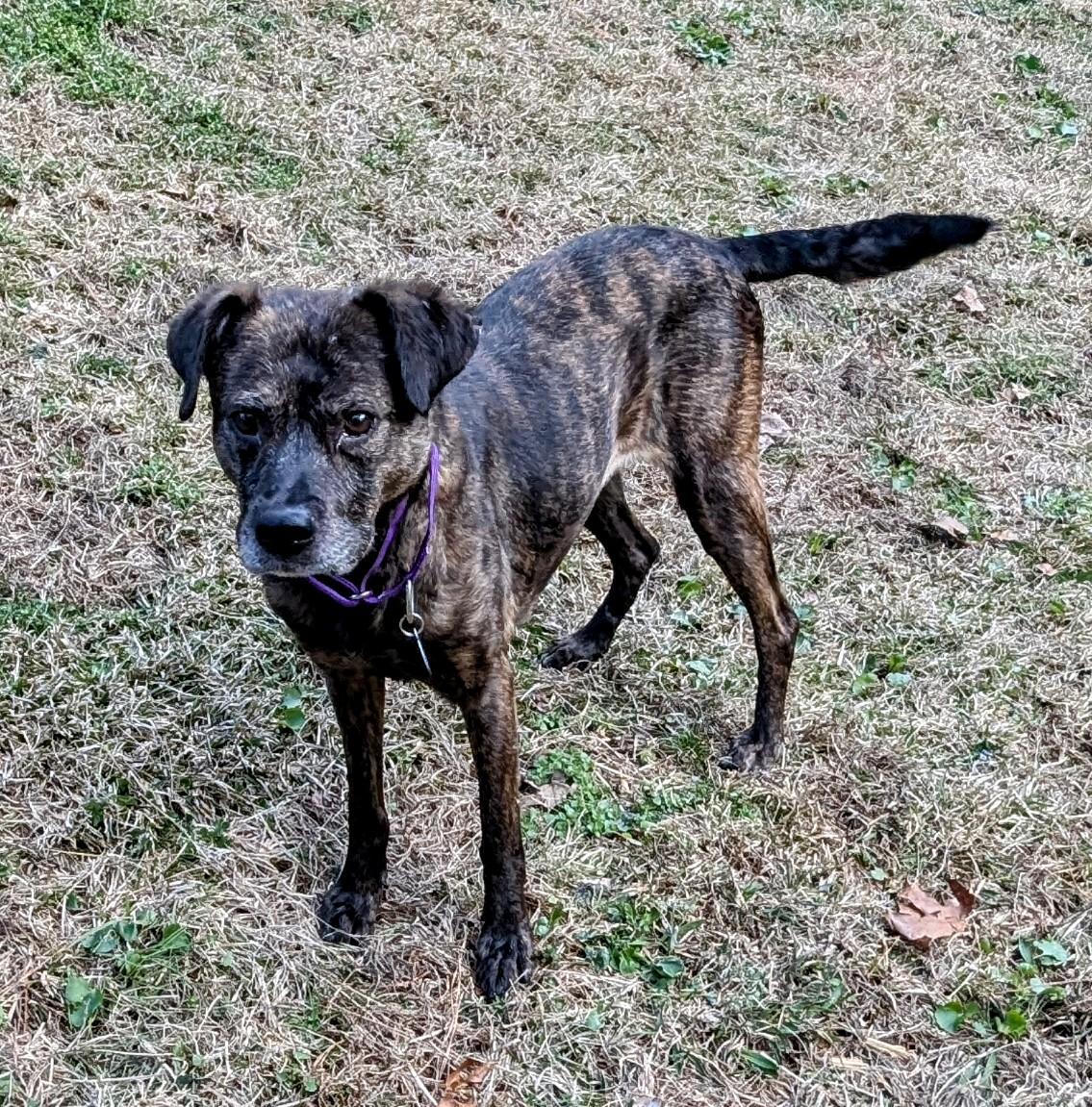 Zandra — thumbnail 5