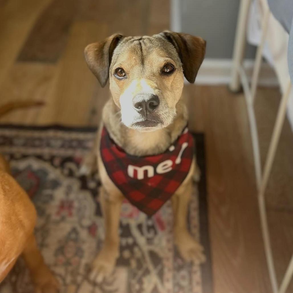 Christian — thumbnail 2