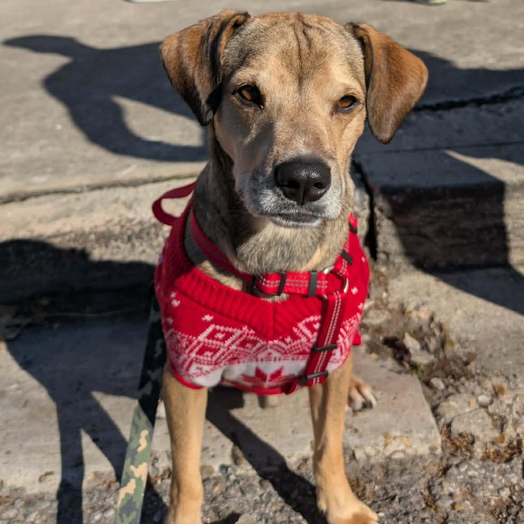 Christian — thumbnail 3