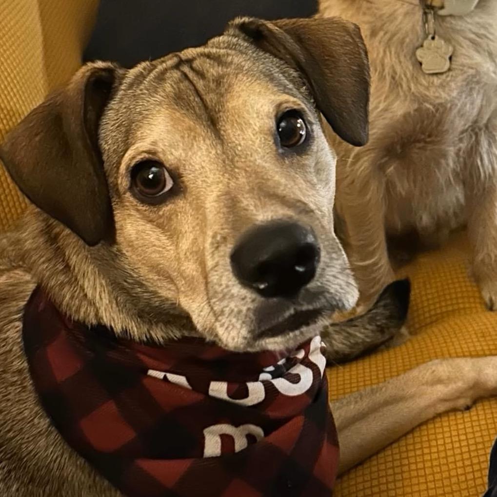 Christian — thumbnail 5