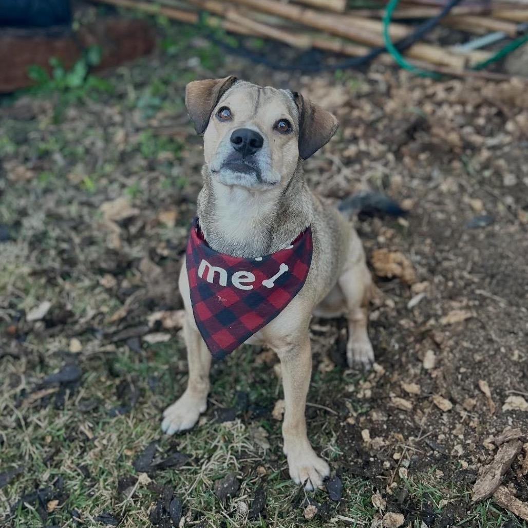 Christian — thumbnail 6