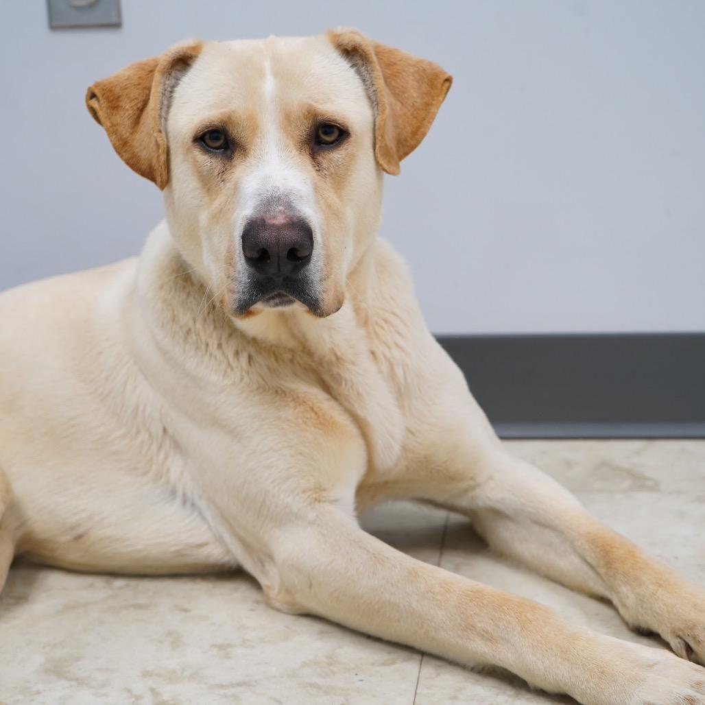 Marcus — thumbnail 2