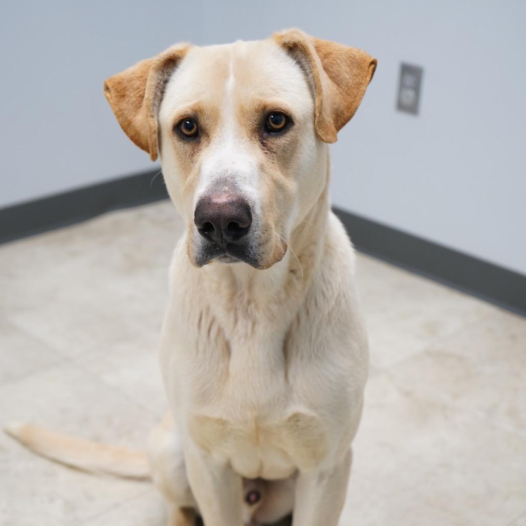 Marcus — thumbnail 3