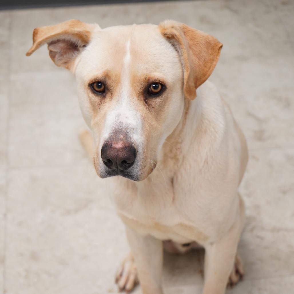 Marcus — thumbnail 4