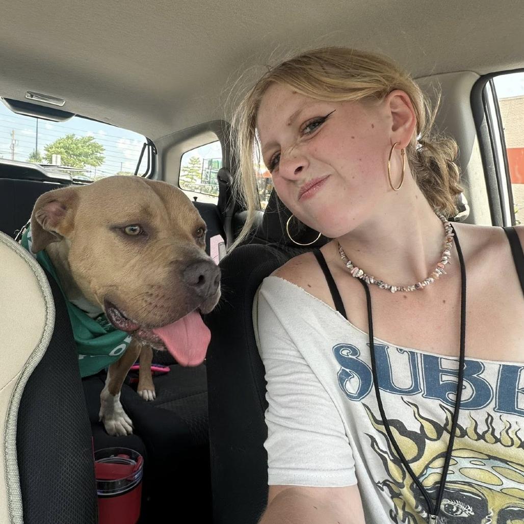 Enlarge Tater Keg, a Adoptable Mixed Breed in Edwardsville, IL image 2/6