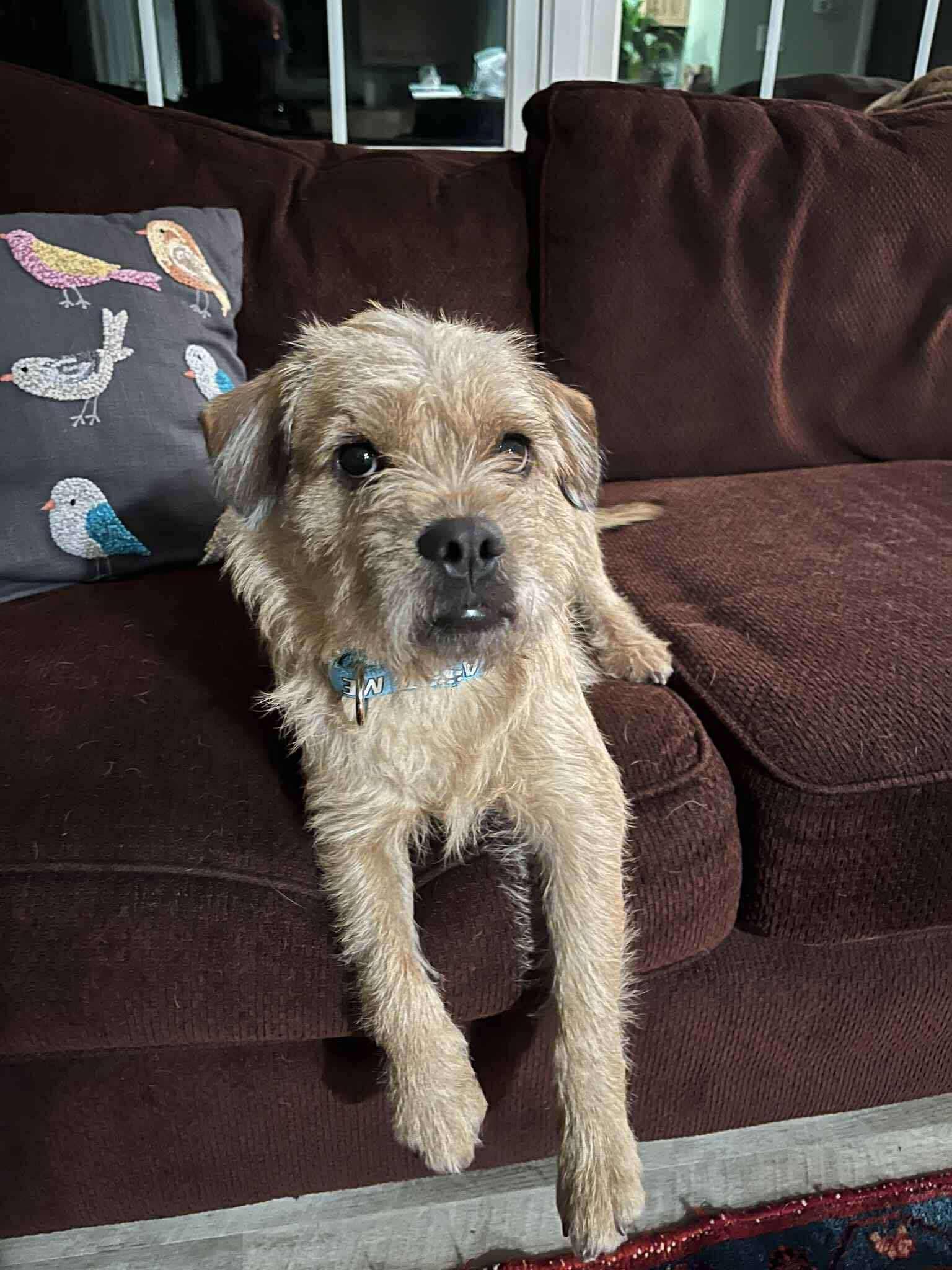 Toto