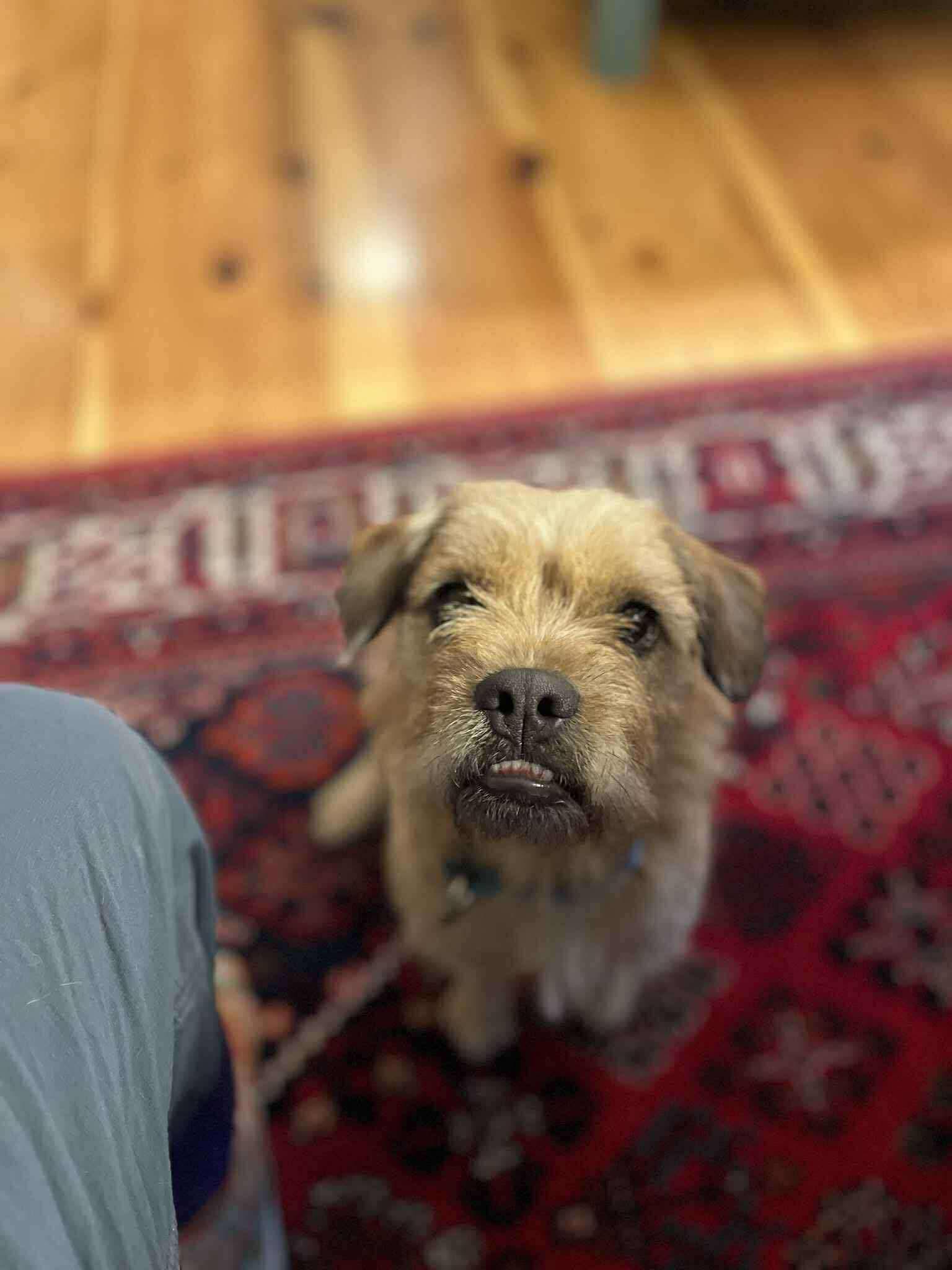Toto