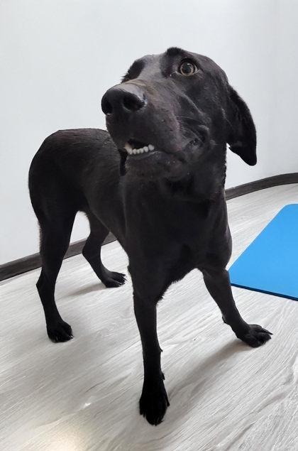 Esther
