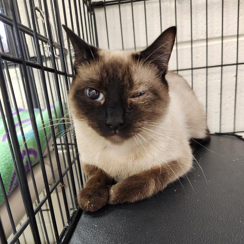 Chaka Khan thumbnail 2