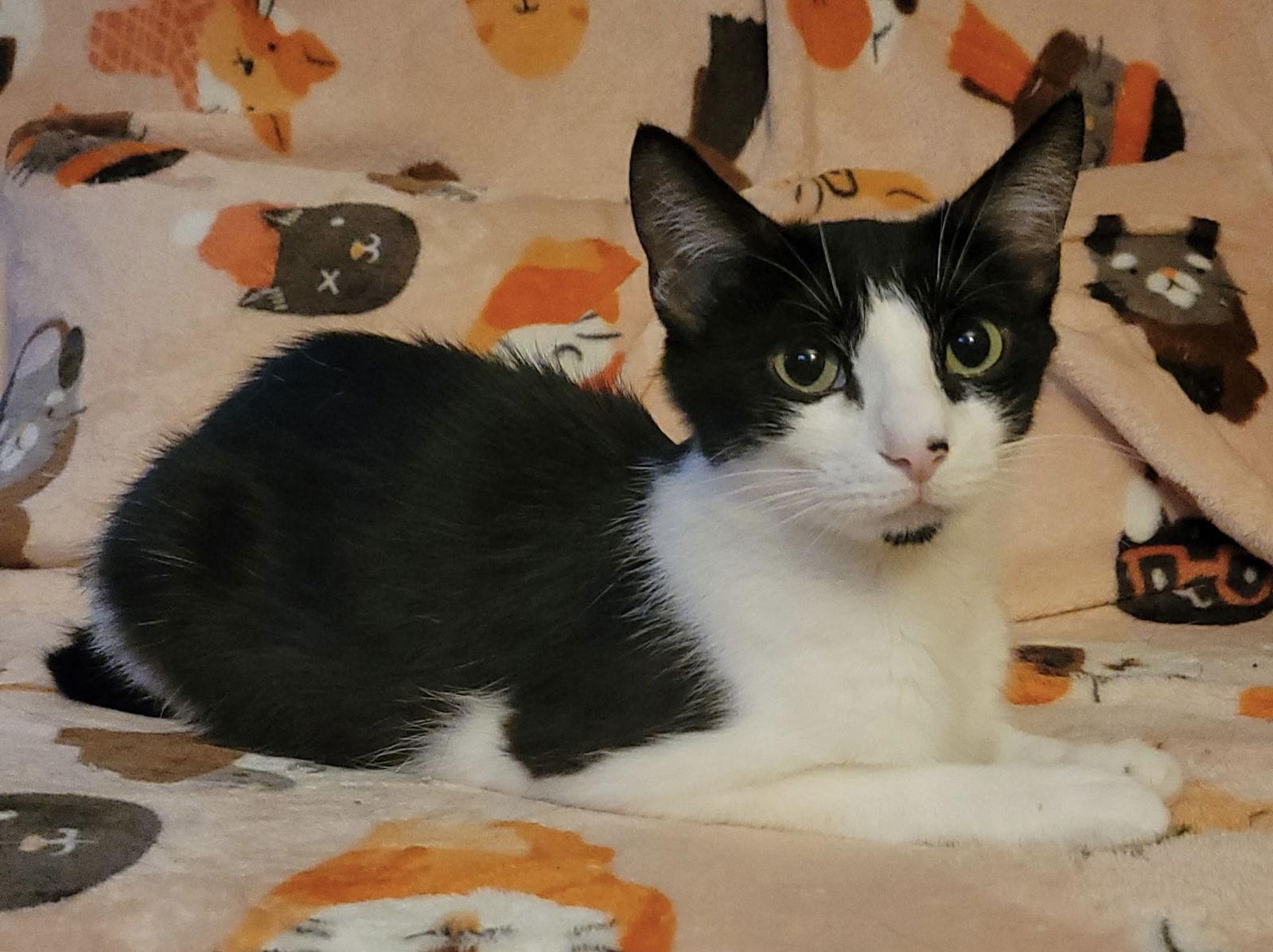 Sophia Marie thumbnail 2