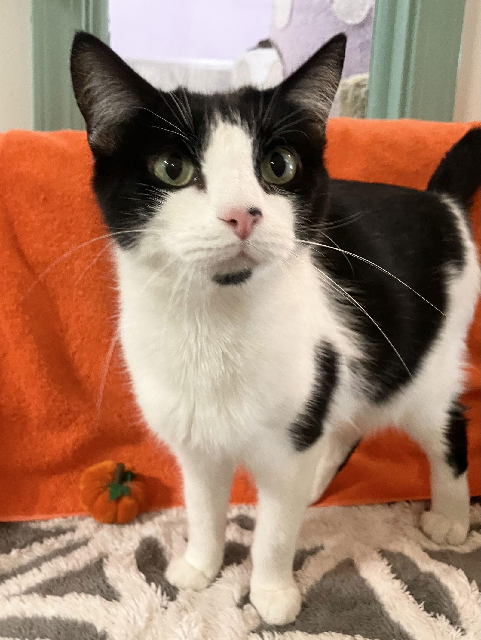 Sophia Marie thumbnail 3